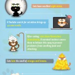 Friday Infograph: Facts You Didn’t Know About Cats