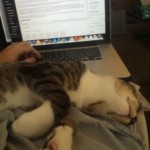 Cats, Baths, and Evil: Why Not Having an Answer Doesn’t Mean There Isn’t One
