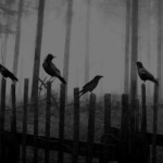 Why Does God Allow Evil And Suffering?